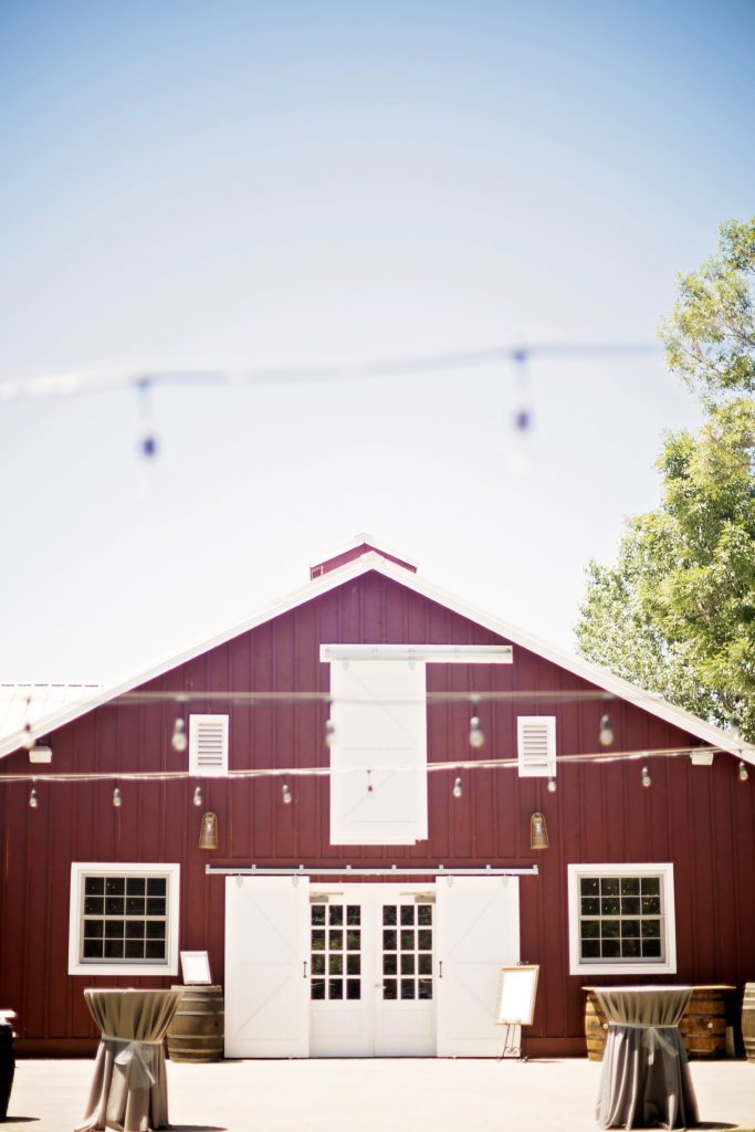 Nolan Campbell Photography - Colorado Wedding Photographer